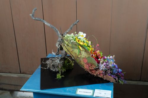 2024花心論出展作品 『スイミーのように』