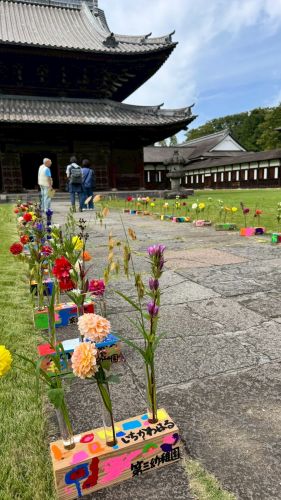 2025花心論作品 『虹咲花』（にじさきばな）