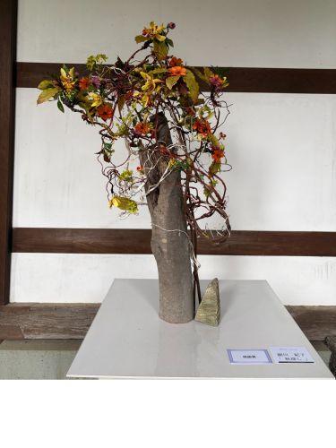 細川 紀子「「秋探し」」