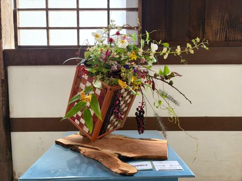 三ツ尾 登三子「「明るいほうに」」