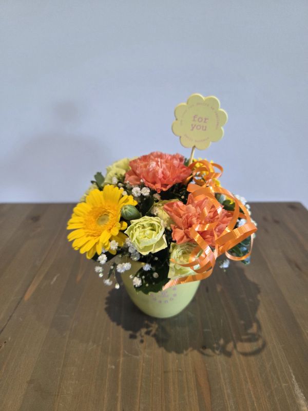 エンジョイコース