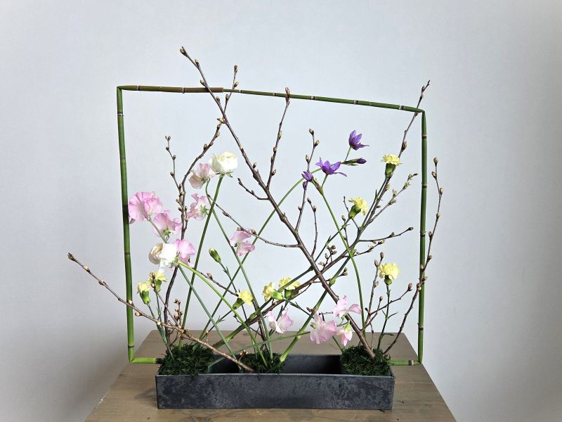 デザイナーズコース