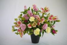 ファン